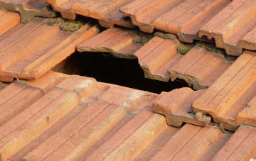 roof repair Sleapford, Shropshire
